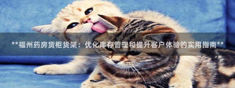 杏运汽车