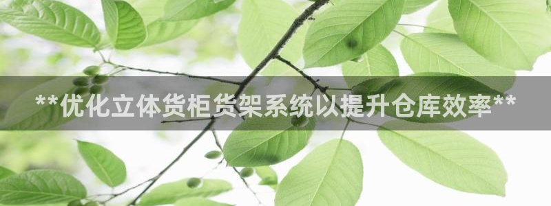 杏运注册登录地址