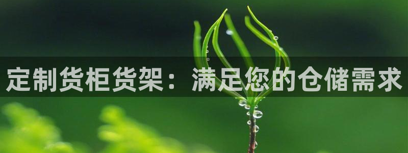 杏运体育平台正规吗安全吗可信吗