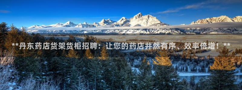 杏运注册登录地址