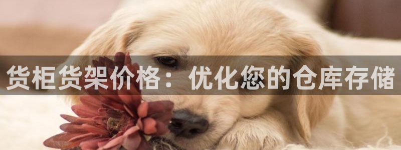 杏运平台代理