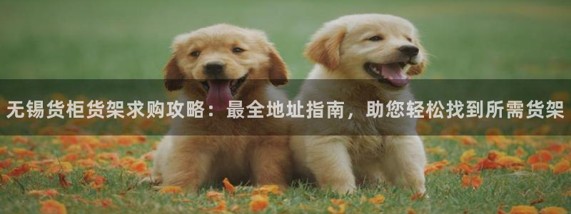 杏运体育官网