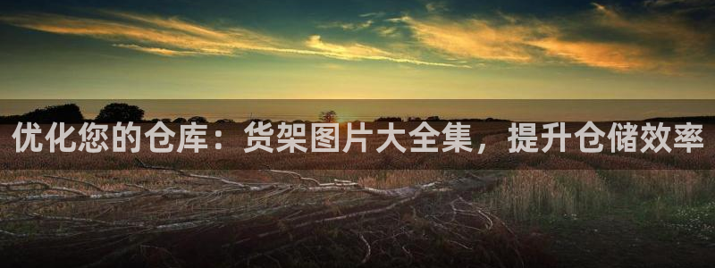 杏运平台代理