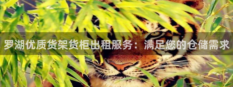 杏运平台官方网站