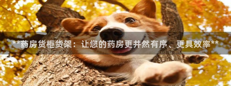 杏运汽车招商