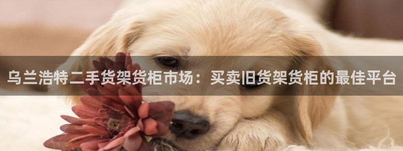 杏运体育官方网址登录
