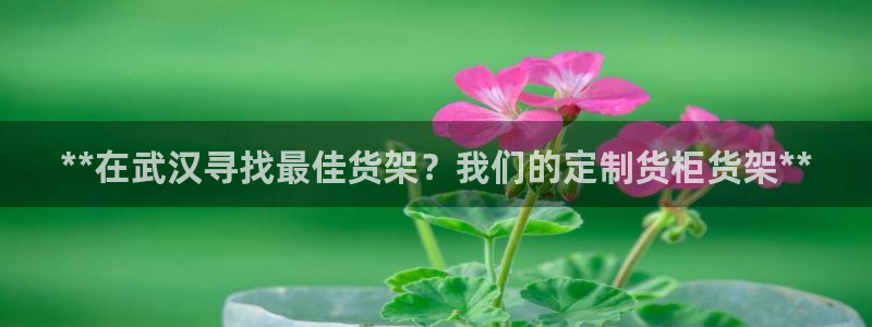 杏运体育平台正规吗安全吗可信吗