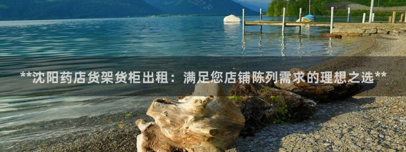 杏运新能源