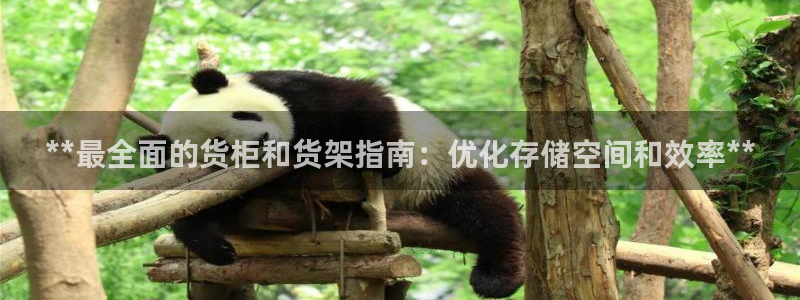杏运新能源