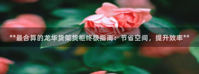 杏运平台注册