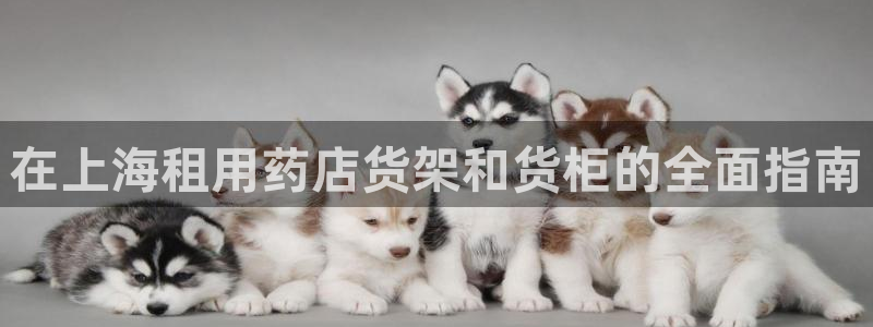 杏运平台注册