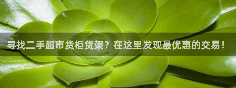杏运体育平台正规吗安全吗可信吗