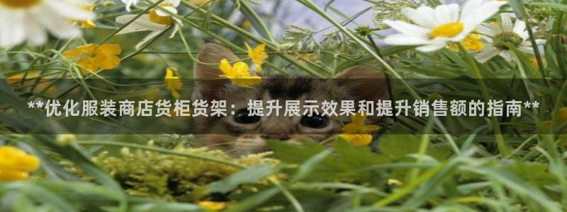 杏运体育平台