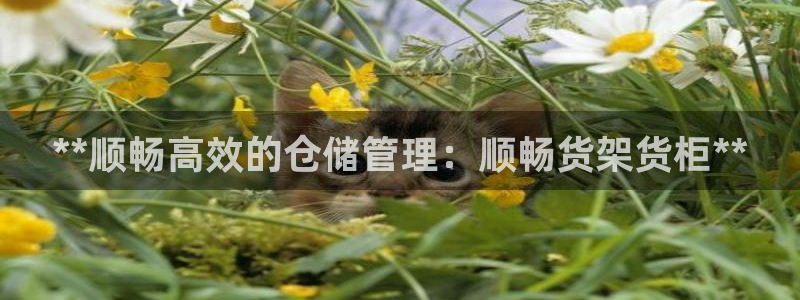 杏运娱乐官网
