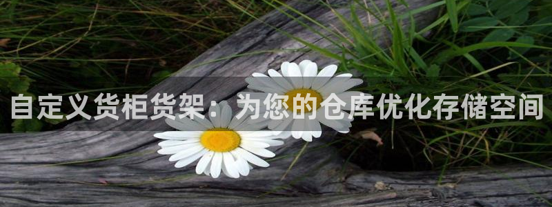 杏运新能源