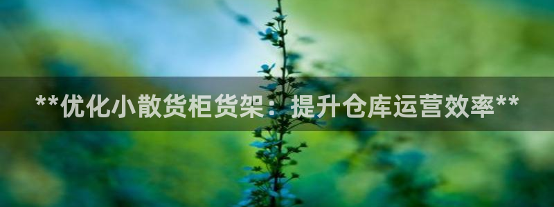 杏运体育平台