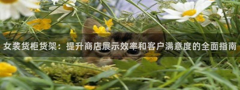 杏运汽车招商