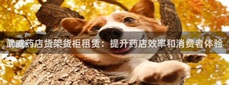 杏运体育app