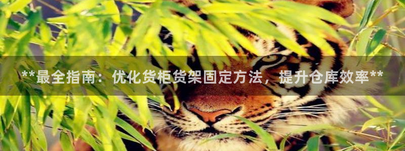 杏运代理