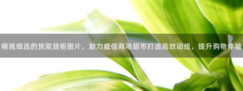 杏运汽车