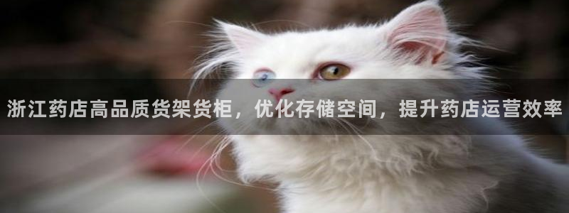 杏运汽车招商