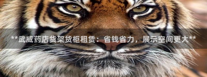 杏运体育不给出款