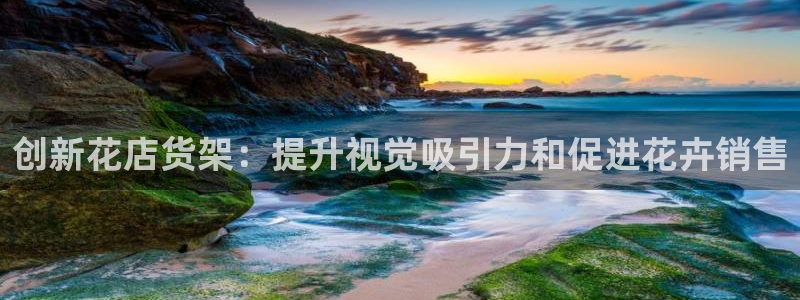 杏运平台代理