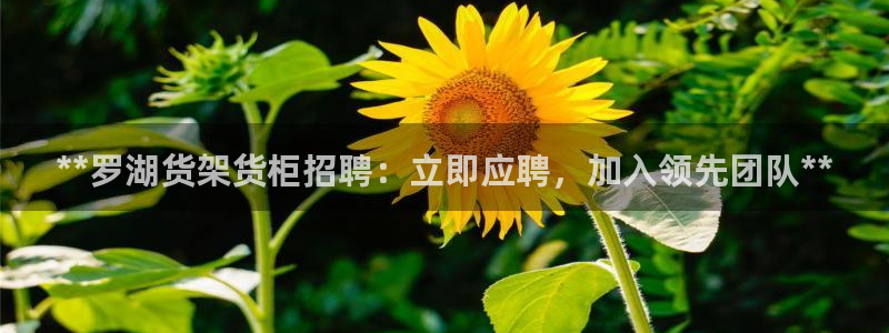 杏运娱乐官网