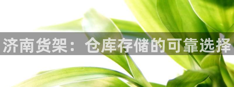 杏运注册登录地址