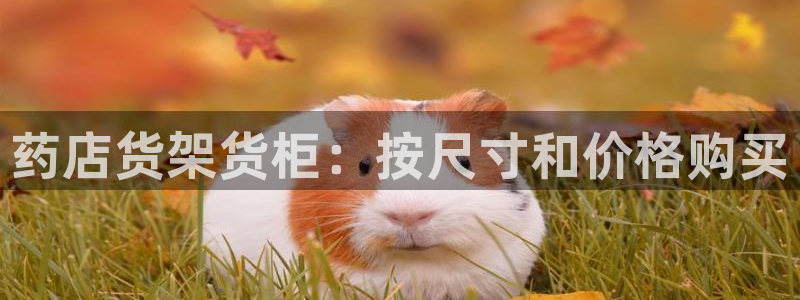 杏运体育怎么样