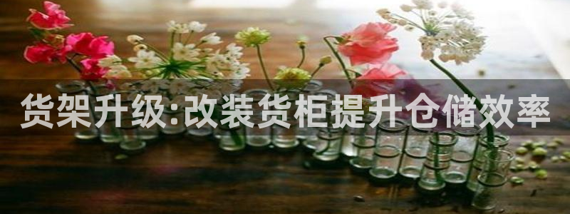 杏运平台官方网站