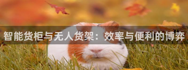 杏运汽车招商