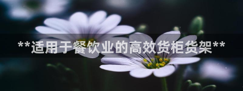 杏运代理