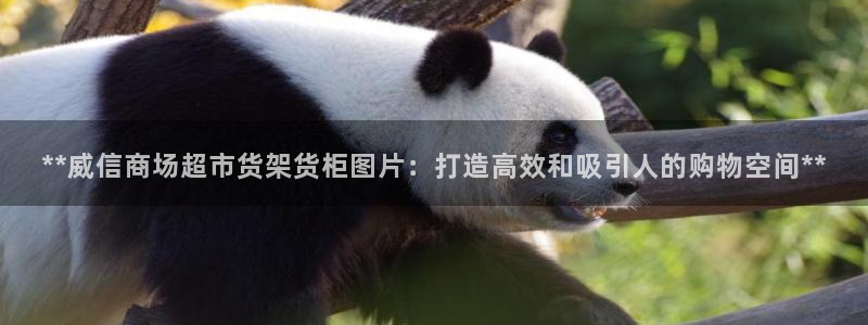 杏运体育娱乐