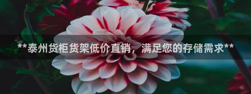 杏运平台注册登录