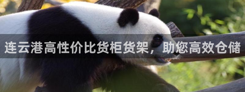 杏运注册账号