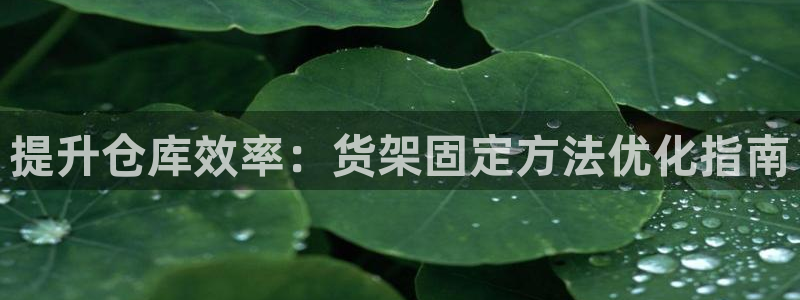 杏运注册登录地址