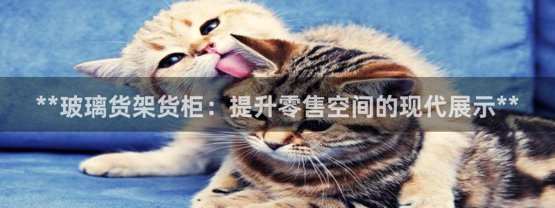 杏运代理