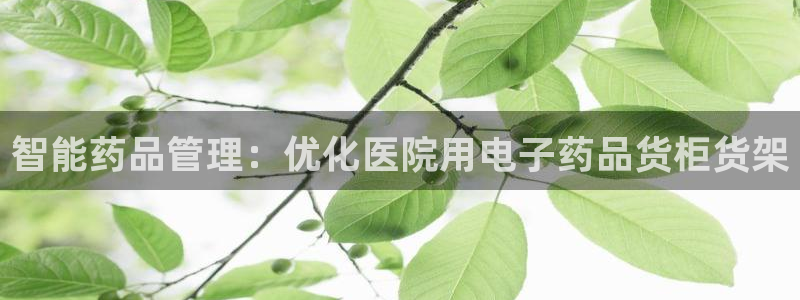 杏运汽车招商