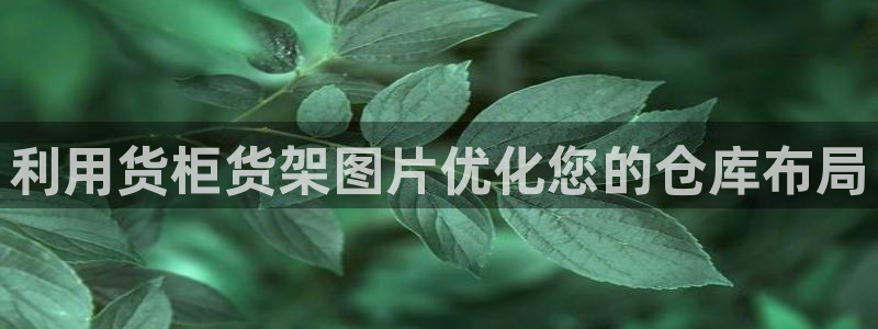 杏运体育官网