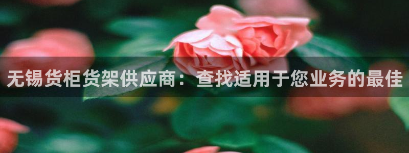 杏运代理