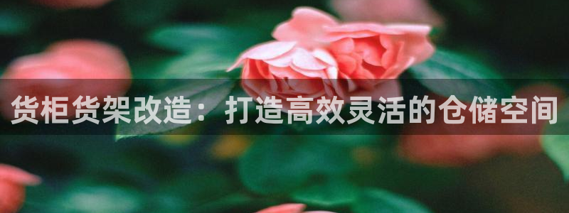 杏运体育平台正规吗安全吗可信吗