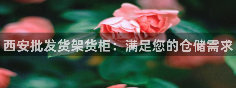 杏运体育平台