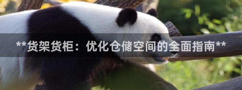 杏运代理