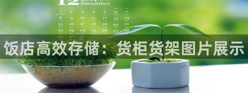 杏运平台注册登录