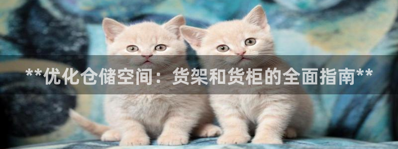 杏运注册登录地址