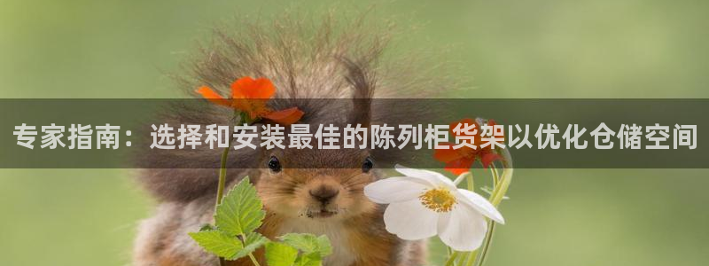 杏运代理