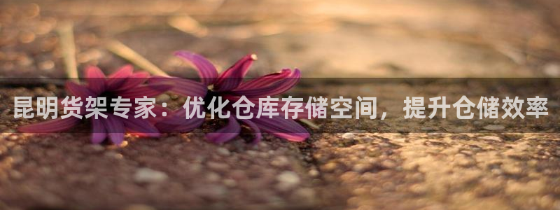 杏运注册登录