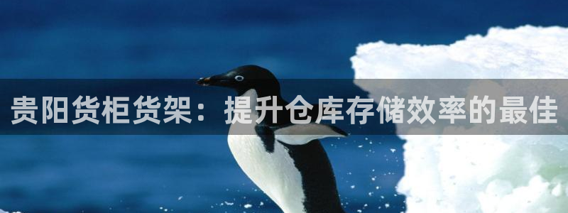 杏运体育注册
