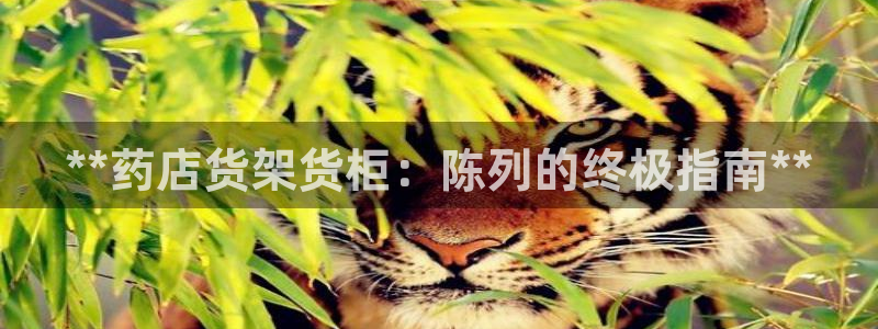 杏运体育